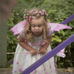 Fairies_20