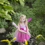Fairies_84