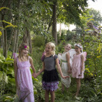 Fairies_86
