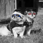 Selbycolorization copy